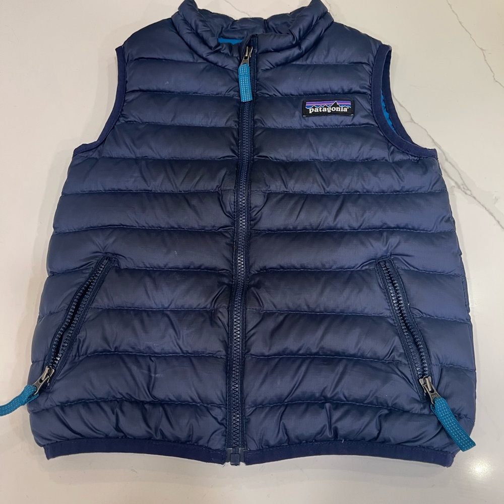 Patagonia Blue Puffer Vest